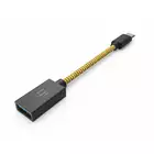 iFi Audio OTG cable