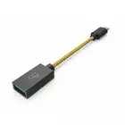 iFi Audio OTG cable