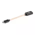 iFi Audio OTG cable