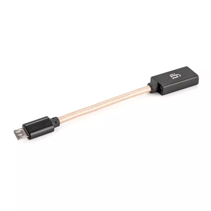 iFi Audio OTG cable