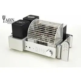 Yaqin MS-300C 