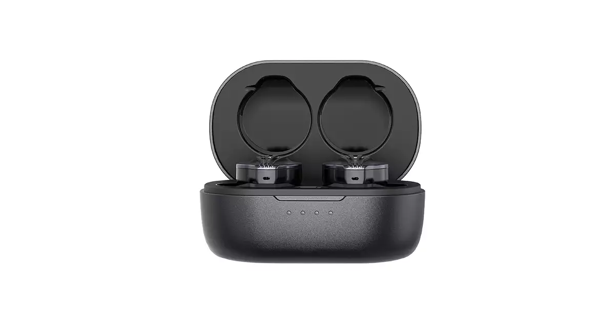 FiiO FW5 ワイヤレスイヤホン ケース付き FiiO FW5レビュー - みぃねこの備忘録